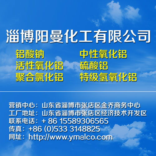 山東鋁酸鈉技術(shù)優(yōu)勢與廠價直銷服務